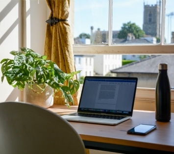 computer, water bottle, and plant sitting on desk 